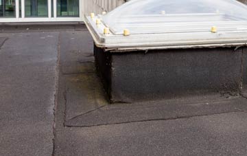 disadvantages of Penrhosfeilw flat roofs