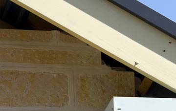 soffit repair Penrhosfeilw
