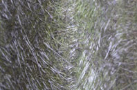 Penrhosfeilw fibreglass roof work